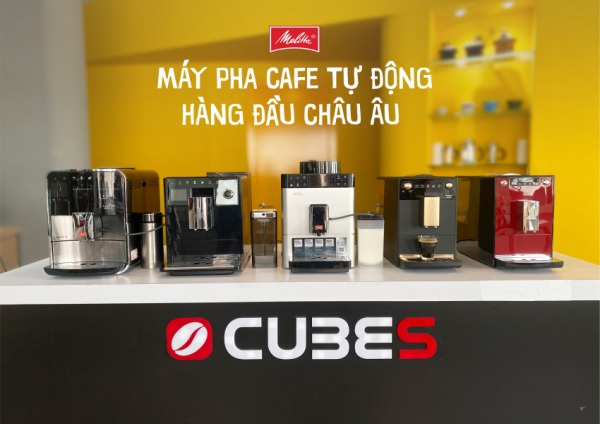 Cubes Asia tặng khẩu trang cho khách hàng