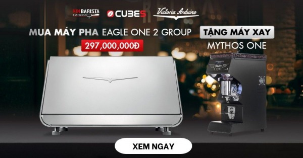 Máy xay sinh tố Vitamix chính hãng 100% - Chuyên dùng cho quán cafe, nhà hàng, khách sạn