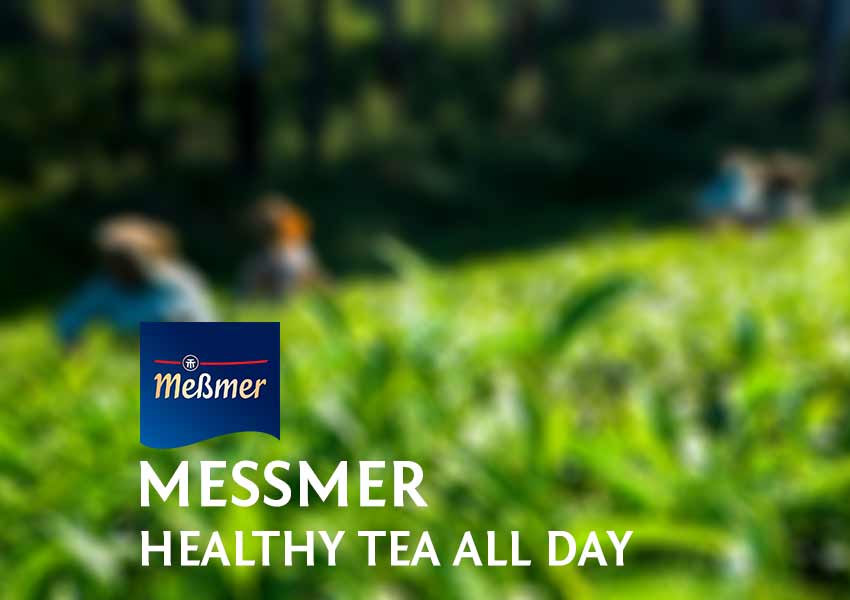 Khám phá Trà Messmer - thương hiệu trà hàng đầu tại Đức