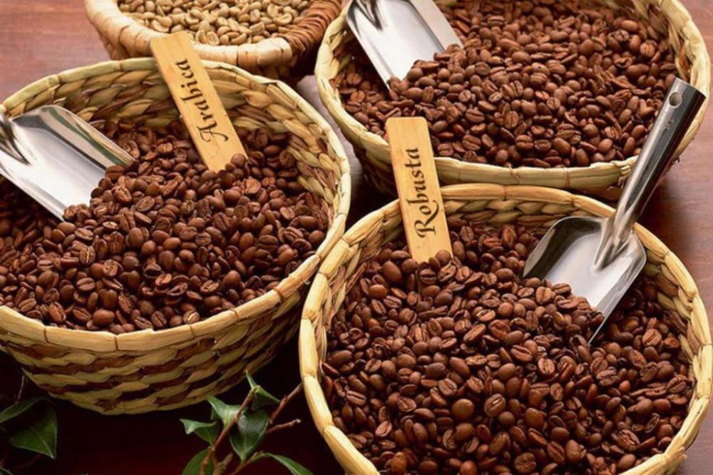 6 công thức phối trộn cà phê Arabica và Robusta phổ biến