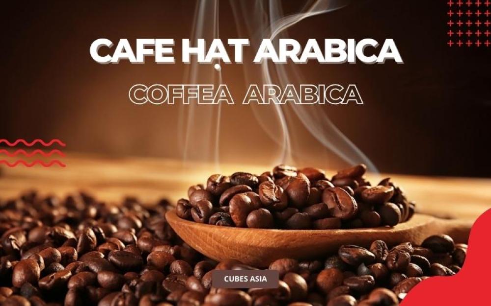 Cà phê Arabica là gì? Nguồn gốc, hương vị và các loại cà phê Arabica