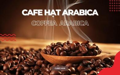 Cà phê Arabica là gì? Nguồn gốc, hương vị và các loại cà phê Arabica