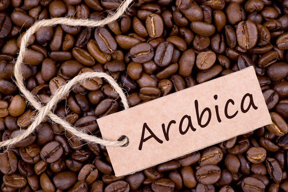 Cà phê Arabica là gì?