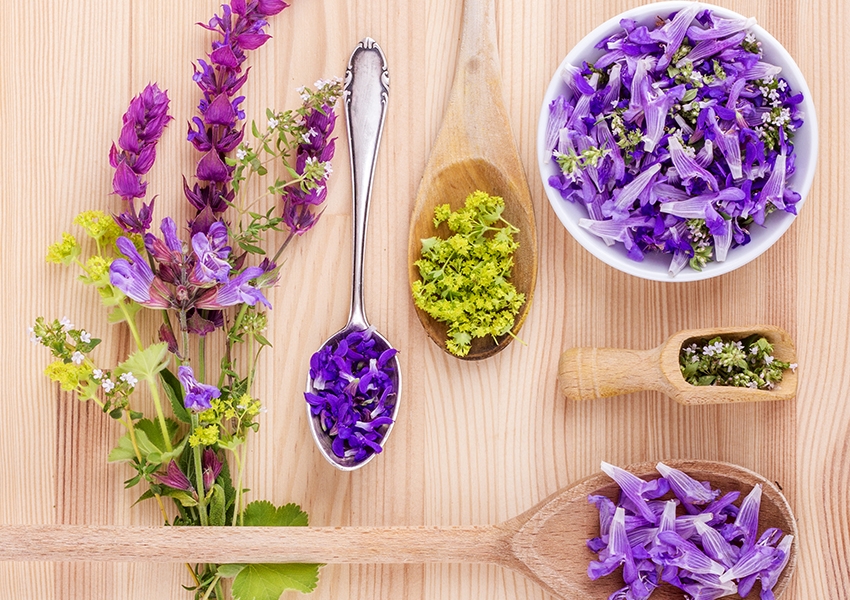 Nhóm Herb & Flower (hoa và các loại thảo mộc)