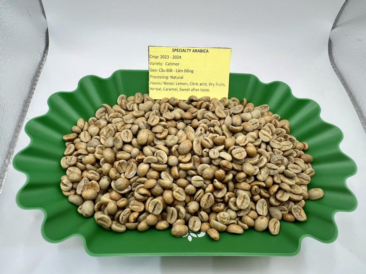 Cà phê Robusta có 2 loại khi được phân theo dòng