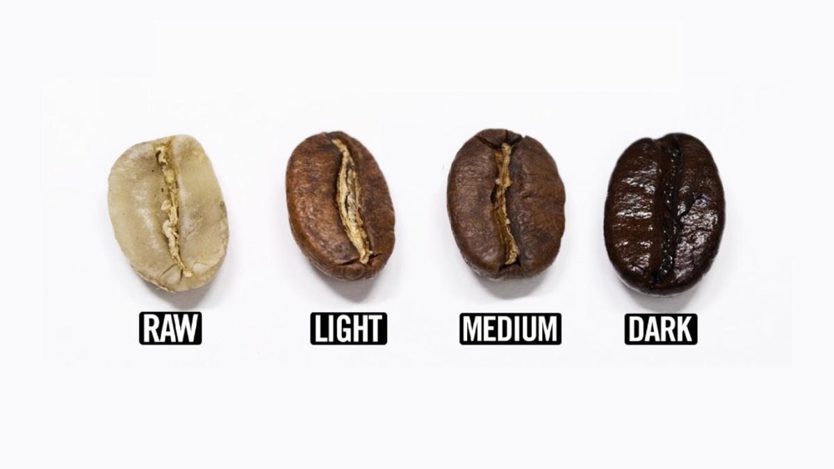 Light, Medium và Dark Roast là 3 cấp độ rang cà phê phổ biến nhất