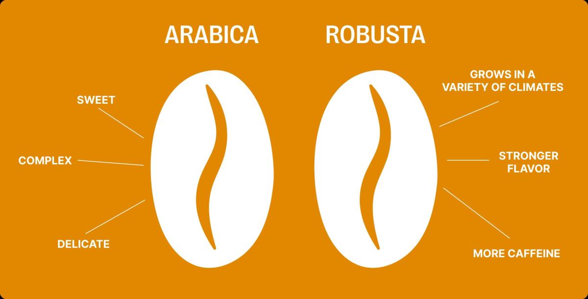 Sự pha trộn của cà phê Arabica và Robusta