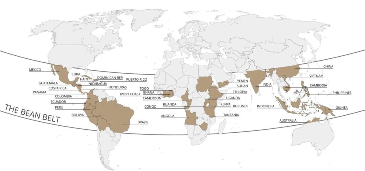 Ethiopia thuộc vành đai cà phê “The Bean Belt”