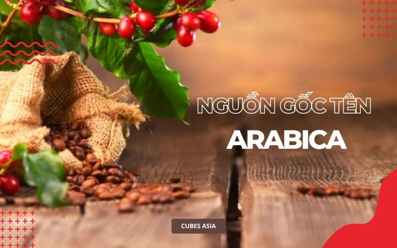 Cái tên “Arabica” bắt nguồn từ tên của bán đảo Bán đảo Ả Rập (Arabia Peninsula)