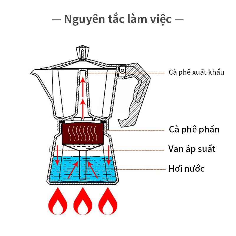 Nguyên lý hoạt động của ấm Moka Pot