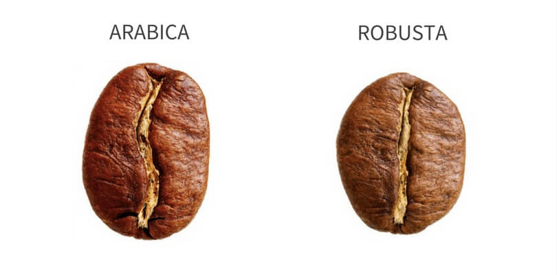difference between arabica and robusta coffee beans