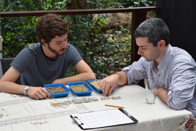Sebastián Villamizar (trái) và Ben Schellack (phải) phân tích các mẫu hạt cà phê xanh. Credit: La Palma y El Tucán