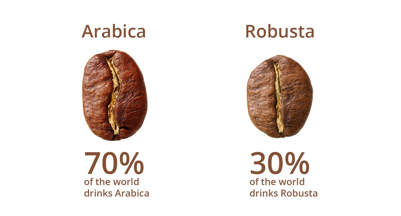 cà phê arabica