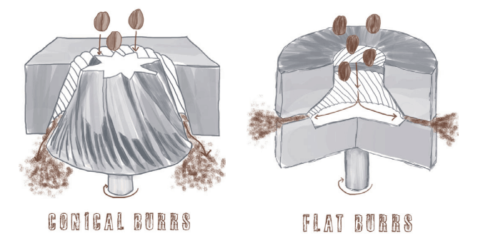 flat vs conical burr grinder