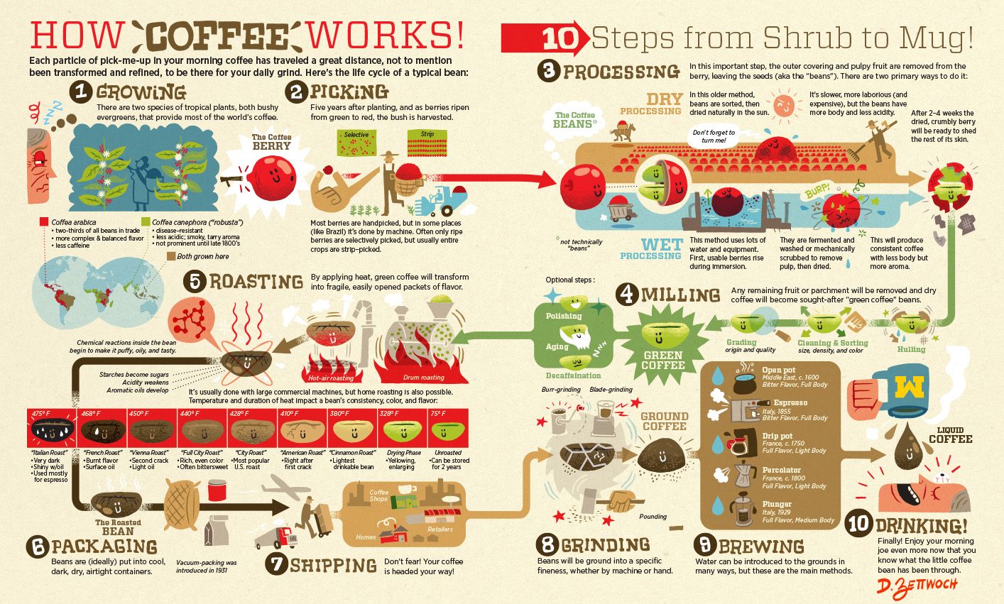Mô hình sơ đồ mô tả chuỗi cung ứng cà phê