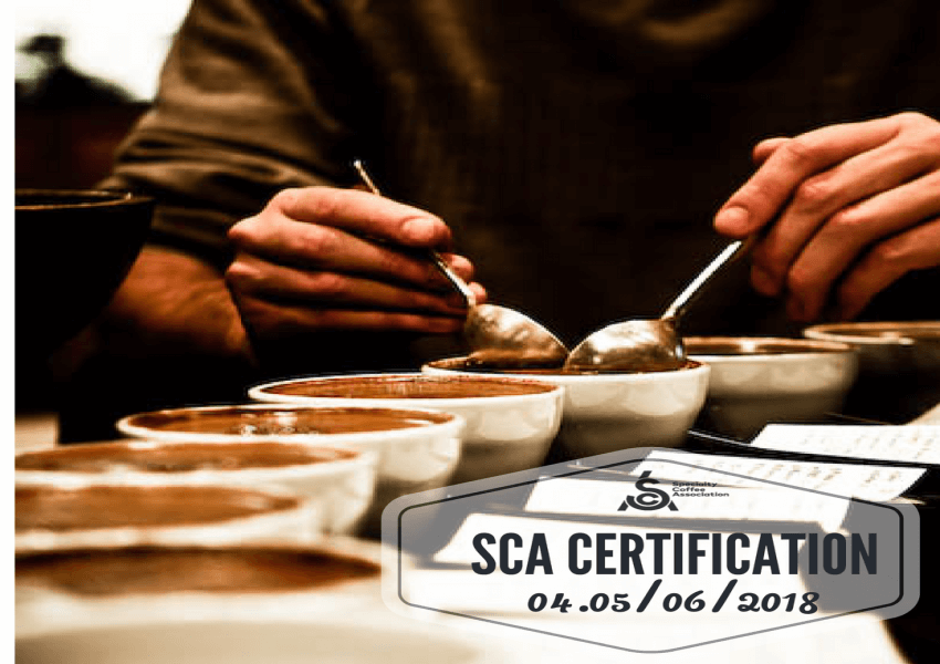 SCA – Chứng Chỉ Chuyên Nghiệp từ Hiệp Hội Cafe Đặc Sản Thế Giới