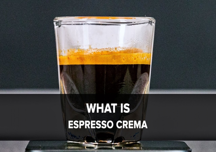 Crema trong cà phê và cơ chế hình thành