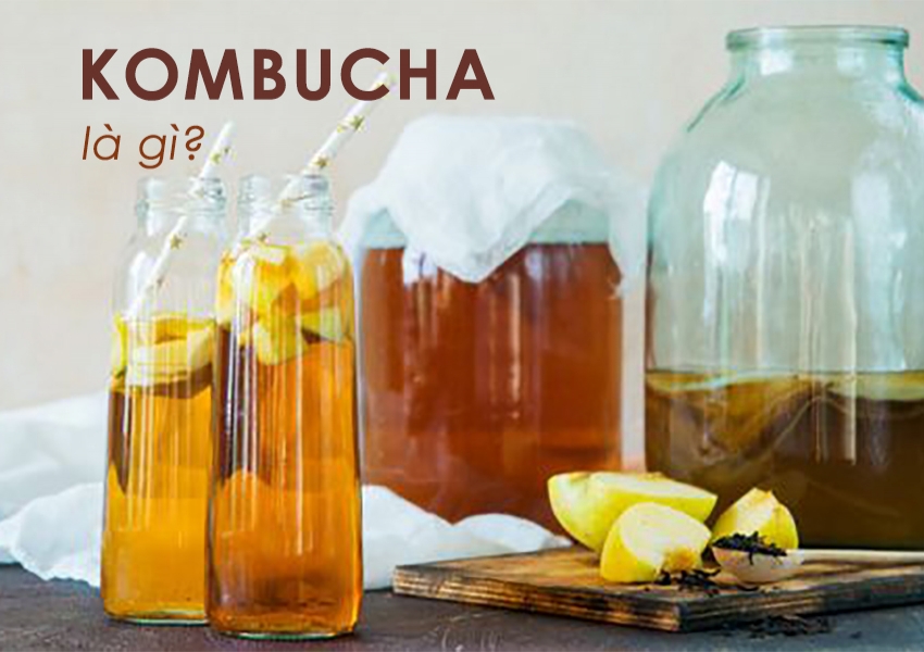 Quán cà phê có nên phục vụ Kombucha – Xu hướng đồ uống vì sức khỏe?