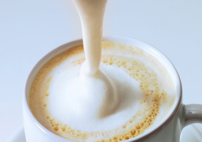 Sữa pha chế cà phê và hướng dẫn đánh sữa đúng chuẩn