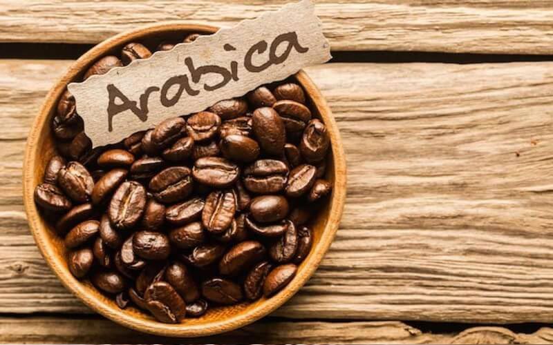 cafe arabica - cafe chè