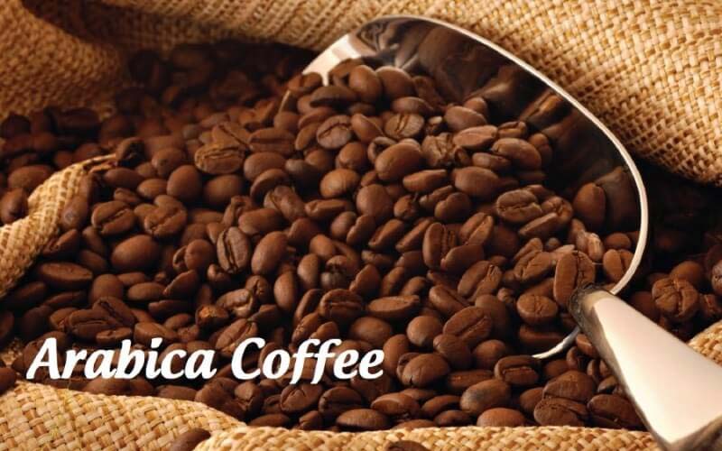 Arabica Coffee - loại cafe ngon phổ biến