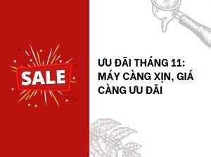Sale-thang-11-may-cang-xin-gia-cang-uu-dai